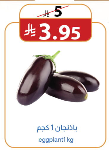available at متاجر أبياتي in مملكة العربية السعودية, السعودية, سعودية - المدينة المنورة