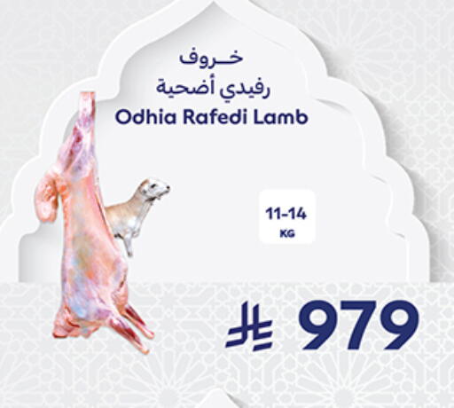 available at كارفور in مملكة العربية السعودية, السعودية, سعودية - جدة