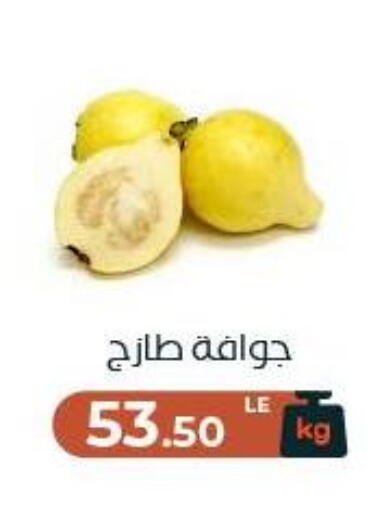 available at عرفة ماركت in Egypt - القاهرة