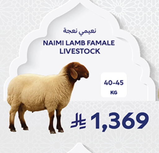 available at كارفور in مملكة العربية السعودية, السعودية, سعودية - جدة