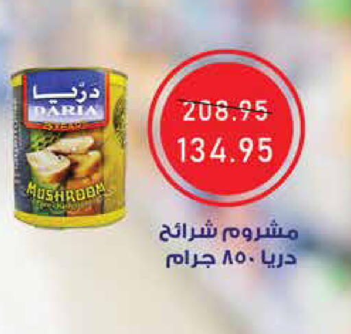 Mushroom available at Exception Market in Egypt - Cairo