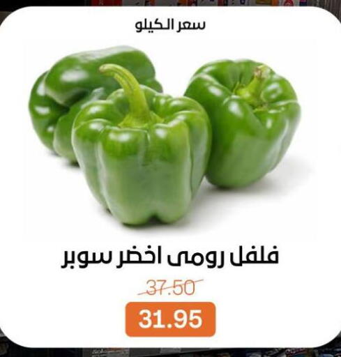 available at Beit El Gomla in Egypt - Cairo