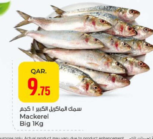available at Paris Hypermarket in Qatar - Doha