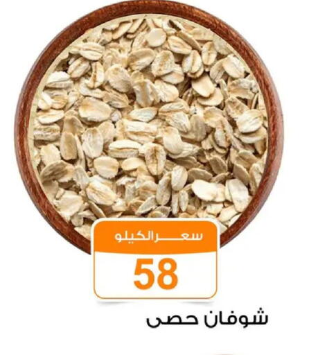 available at Gomla Market in Egypt - Cairo