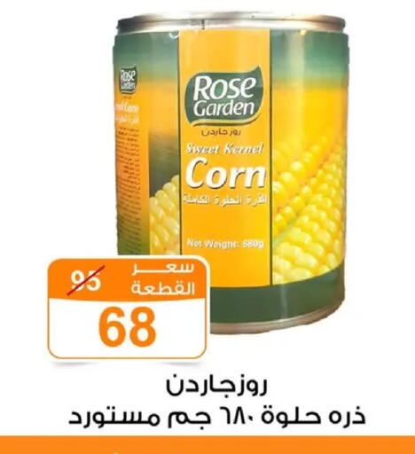 available at Gomla Market in Egypt - Cairo