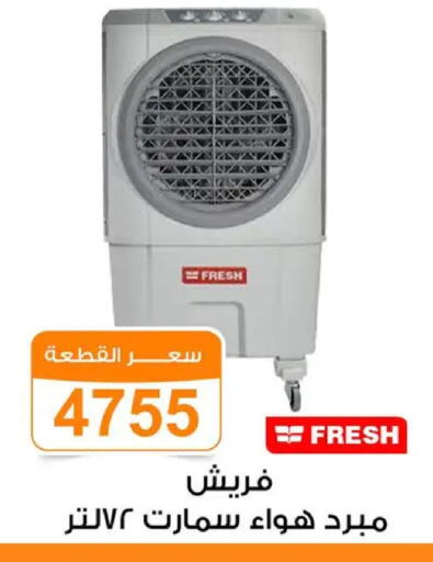 available at Gomla Market in Egypt - Cairo