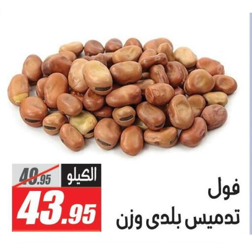available at الفرجاني هايبر ماركت in Egypt - القاهرة