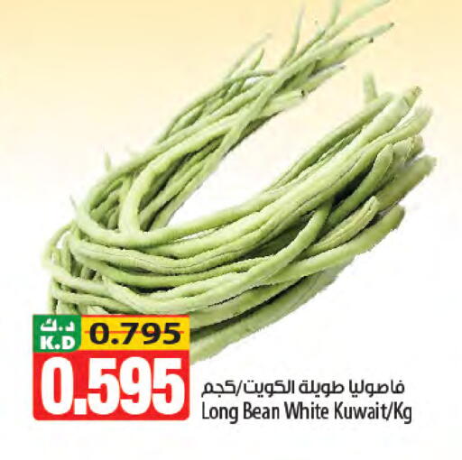 Mango from Kuwait available at مانجو هايبرماركت in الكويت - مدينة الكويت