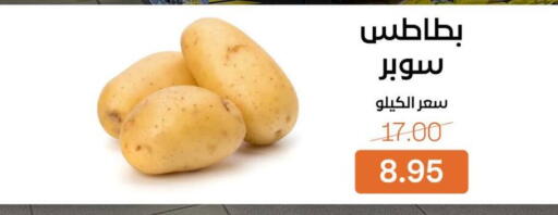 available at بيت الجملة in Egypt - القاهرة