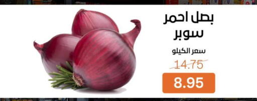 available at Beit El Gomla in Egypt - Cairo