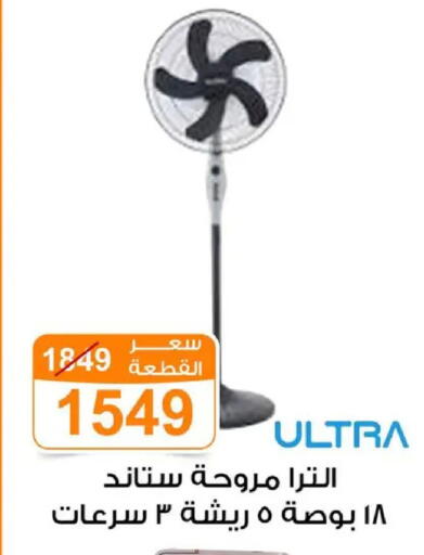 available at Gomla Market in Egypt - Cairo