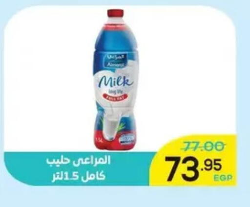 available at Aldoha Market in Egypt - Cairo