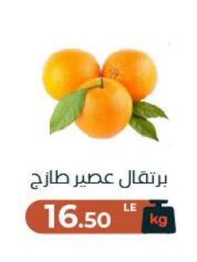 available at عرفة ماركت in Egypt - القاهرة