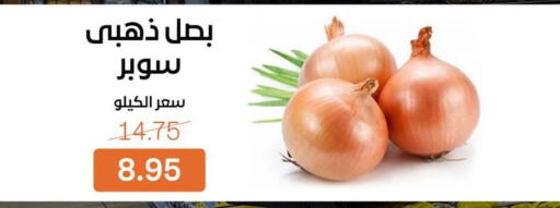 available at Beit El Gomla in Egypt - Cairo