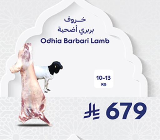 available at كارفور in مملكة العربية السعودية, السعودية, سعودية - جدة