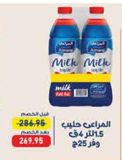 available at Exception Market in Egypt - Cairo
