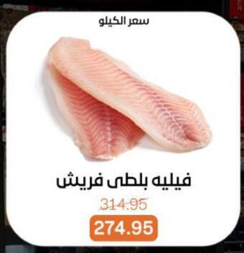 available at بيت الجملة in Egypt - القاهرة