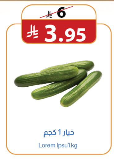 available at متاجر أبياتي in مملكة العربية السعودية, السعودية, سعودية - المدينة المنورة