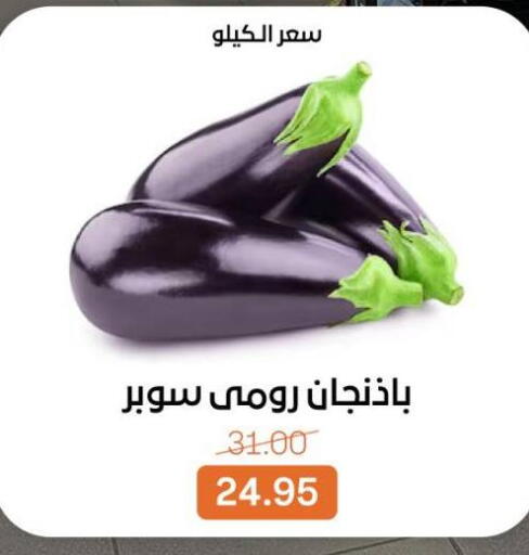 available at بيت الجملة in Egypt - القاهرة