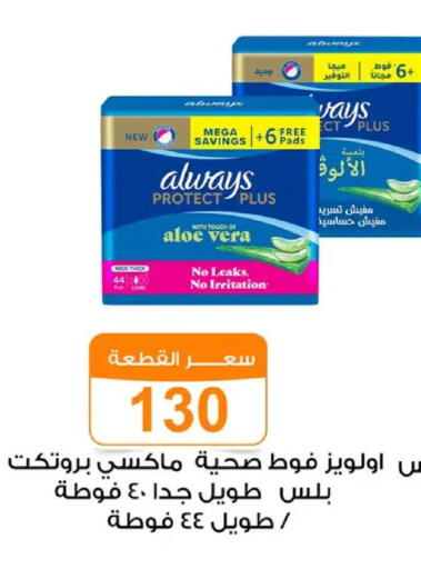 available at Gomla Market in Egypt - Cairo