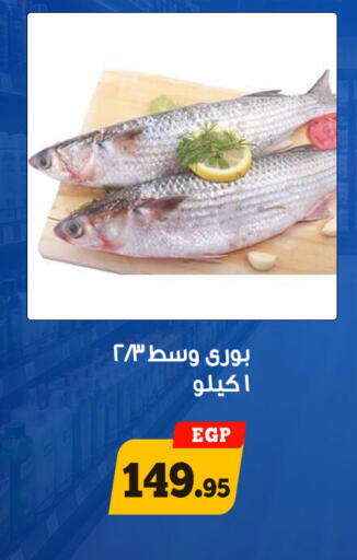 available at أولاد رجب in Egypt - القاهرة