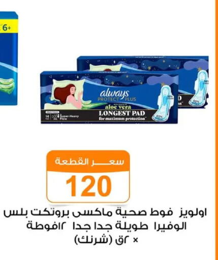 available at Gomla Market in Egypt - Cairo