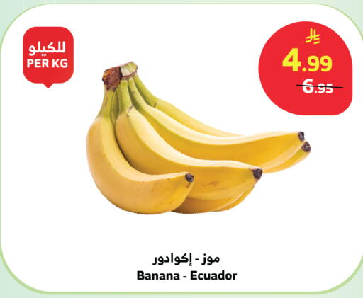 Banana from Ecuador available at الراية in مملكة العربية السعودية, السعودية, سعودية - بيشة