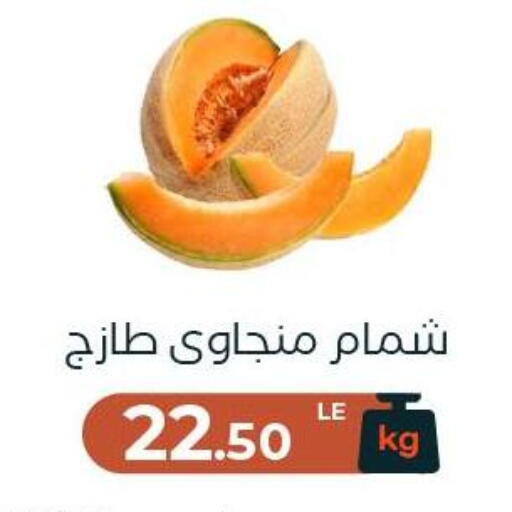 available at عرفة ماركت in Egypt - القاهرة
