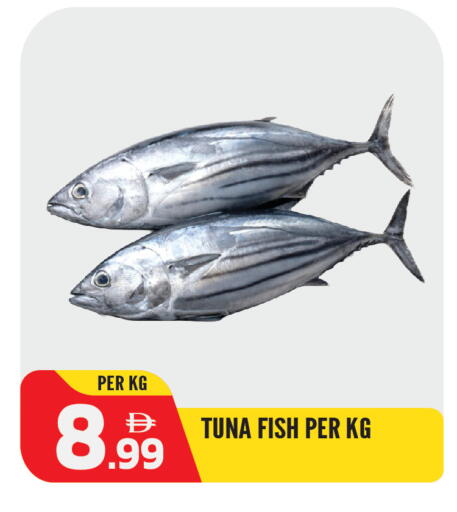 available at Dream Land in UAE - Sharjah / Ajman