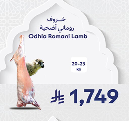 available at كارفور in مملكة العربية السعودية, السعودية, سعودية - جدة