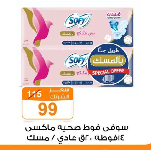 available at Gomla Market in Egypt - Cairo