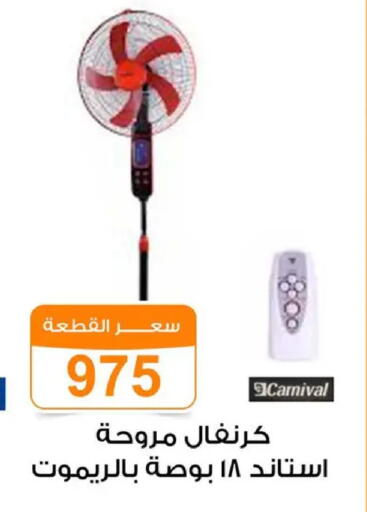 available at Gomla Market in Egypt - Cairo