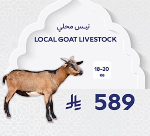 available at كارفور in مملكة العربية السعودية, السعودية, سعودية - جدة