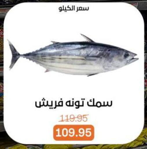 available at بيت الجملة in Egypt - القاهرة