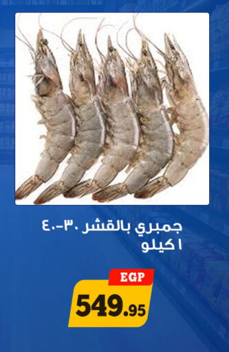 available at أولاد رجب in Egypt - القاهرة