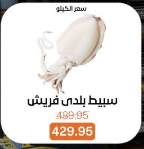 available at Beit El Gomla in Egypt - Cairo