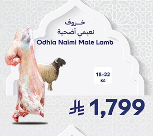 available at كارفور in مملكة العربية السعودية, السعودية, سعودية - جدة