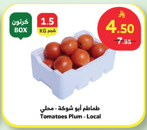 Plum Tomato available at الراية in مملكة العربية السعودية, السعودية, سعودية - المدينة المنورة