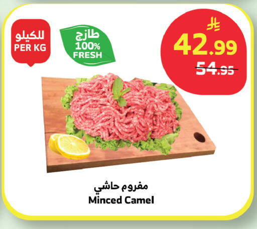 available at الراية in مملكة العربية السعودية, السعودية, سعودية - تبوك