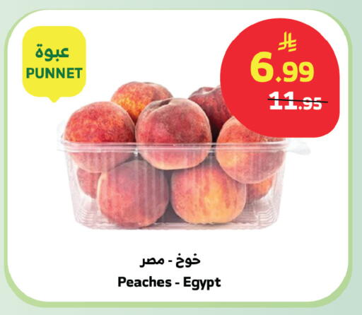 from Egypt available at الراية in مملكة العربية السعودية, السعودية, سعودية - بيشة