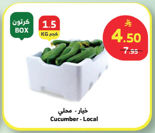 Cucumber available at الراية in مملكة العربية السعودية, السعودية, سعودية - المدينة المنورة