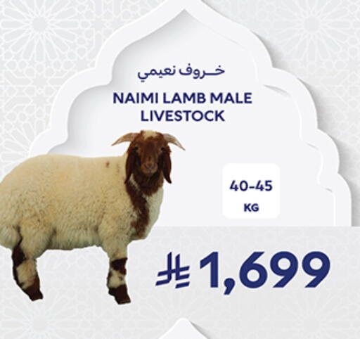 available at كارفور in مملكة العربية السعودية, السعودية, سعودية - جدة