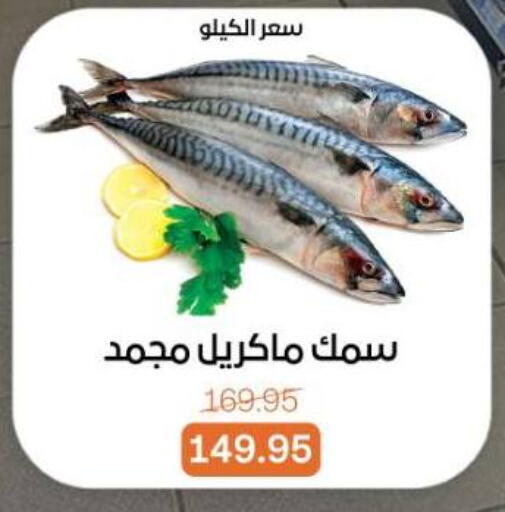 available at Beit El Gomla in Egypt - Cairo