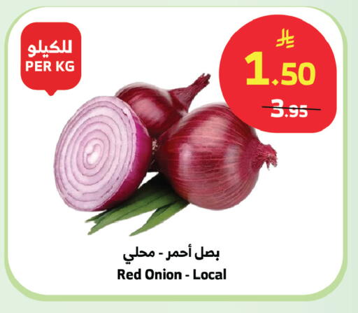 Onion available at الراية in مملكة العربية السعودية, السعودية, سعودية - المدينة المنورة