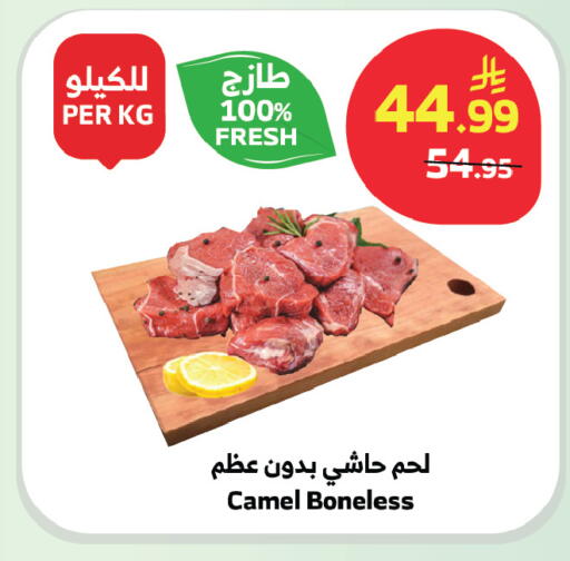 available at الراية in مملكة العربية السعودية, السعودية, سعودية - جدة