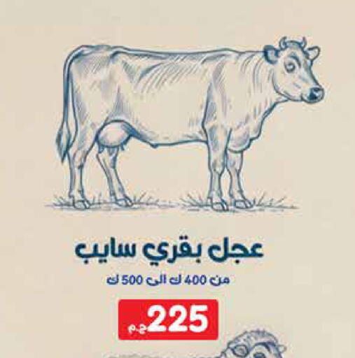 available at اكسبشن ماركت in Egypt - القاهرة