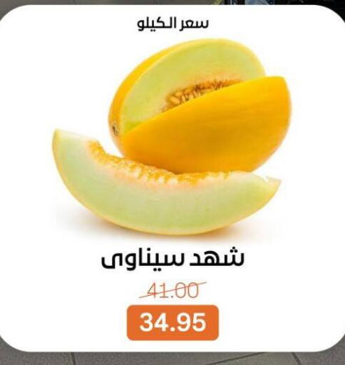 available at Beit El Gomla in Egypt - Cairo