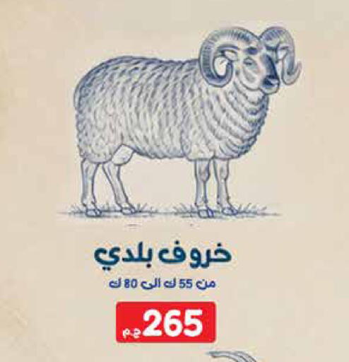 available at اكسبشن ماركت in Egypt - القاهرة