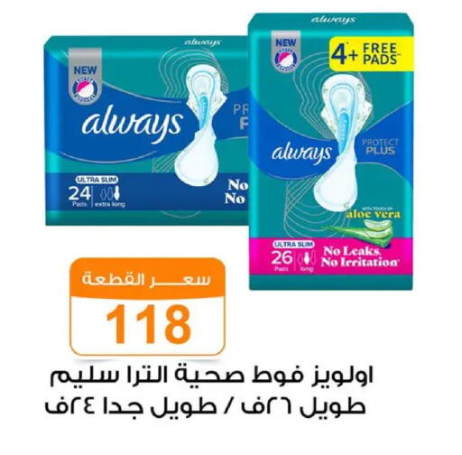available at Gomla Market in Egypt - Cairo