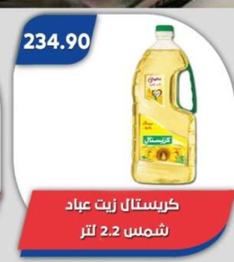 available at باسم ماركت in Egypt - القاهرة
